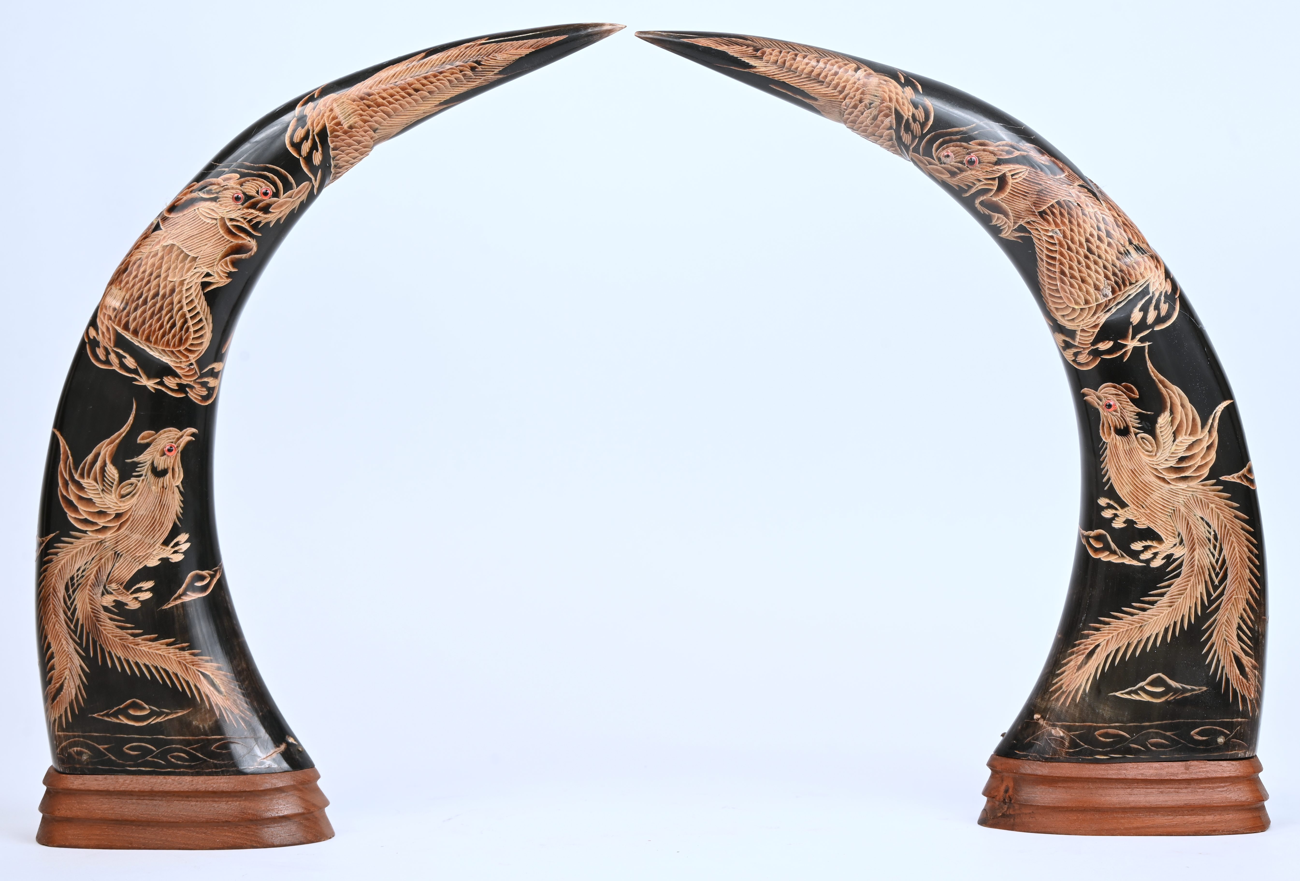 Een paar zwarte hoorns versierd met goudkleurige gegraveerde paradijsvogels Een paar zwarte hoorns versierd met goudkleurige gegraveerde paradijsvogels.