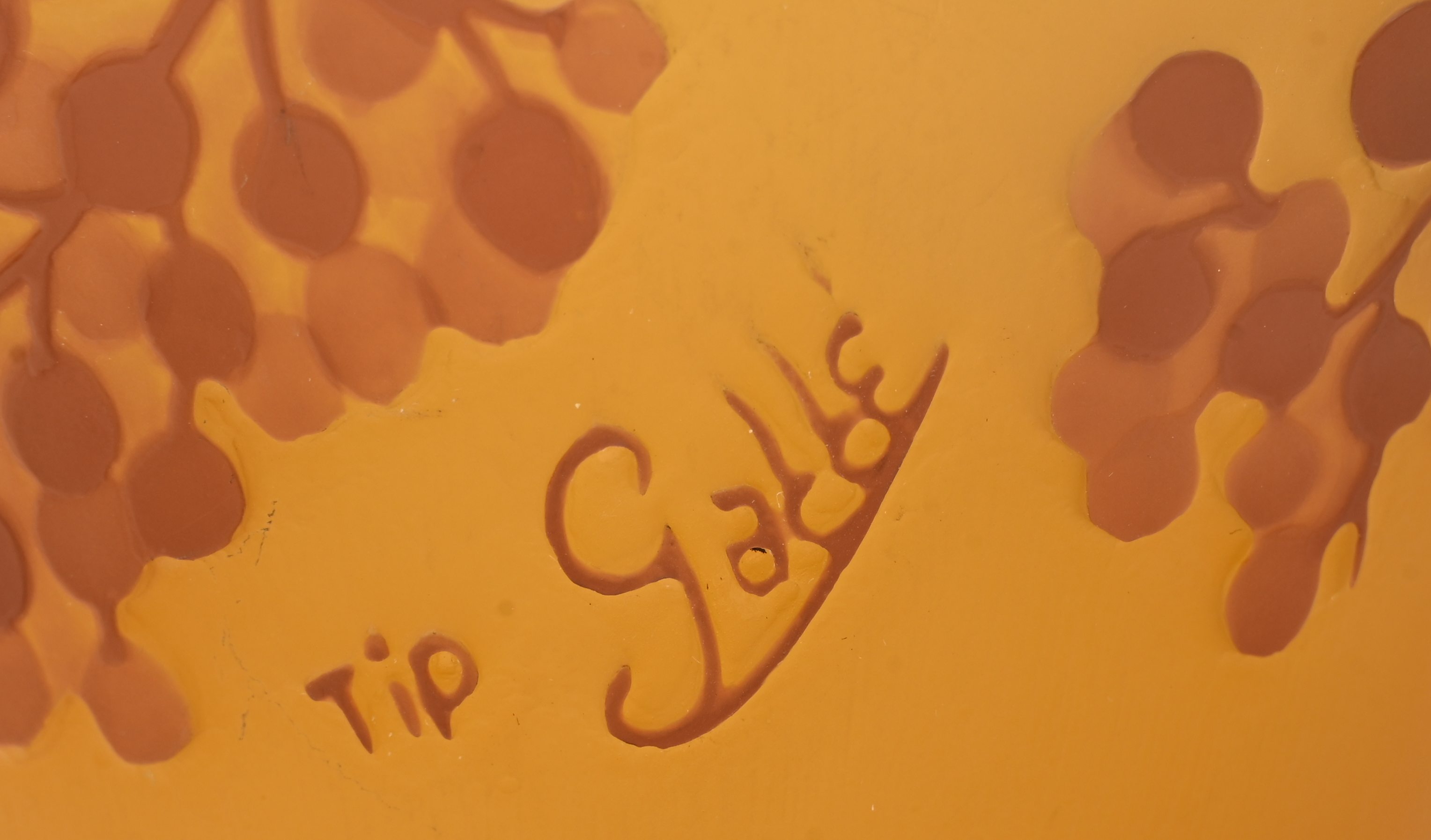 Een glaspasta vaas met natuurmotieven, draagt handtekening Gallé Een glaspasta vaas met natuurmotieven, draagt handtekening Gallé.