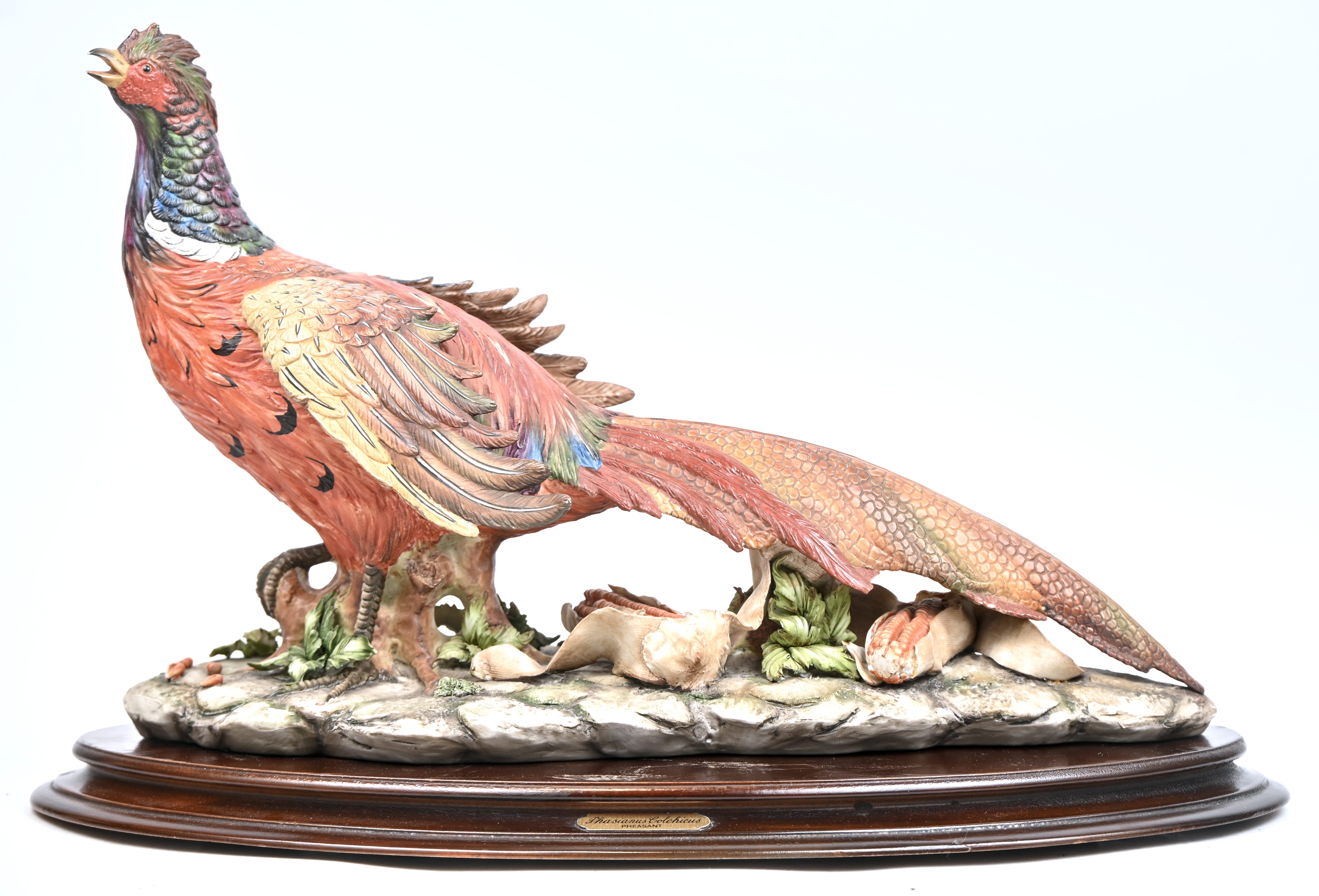 ‘Phasianus Colchicus’, een beeld van meerkleurig Capodimonte porselein. Gemerkt ‘Vier Tasca’, met schade ‘Phasianus Colchicus’, een beeld van meerkleurig Capodimonte porselein. Gemerkt ‘Vier Tasca’, met schade.