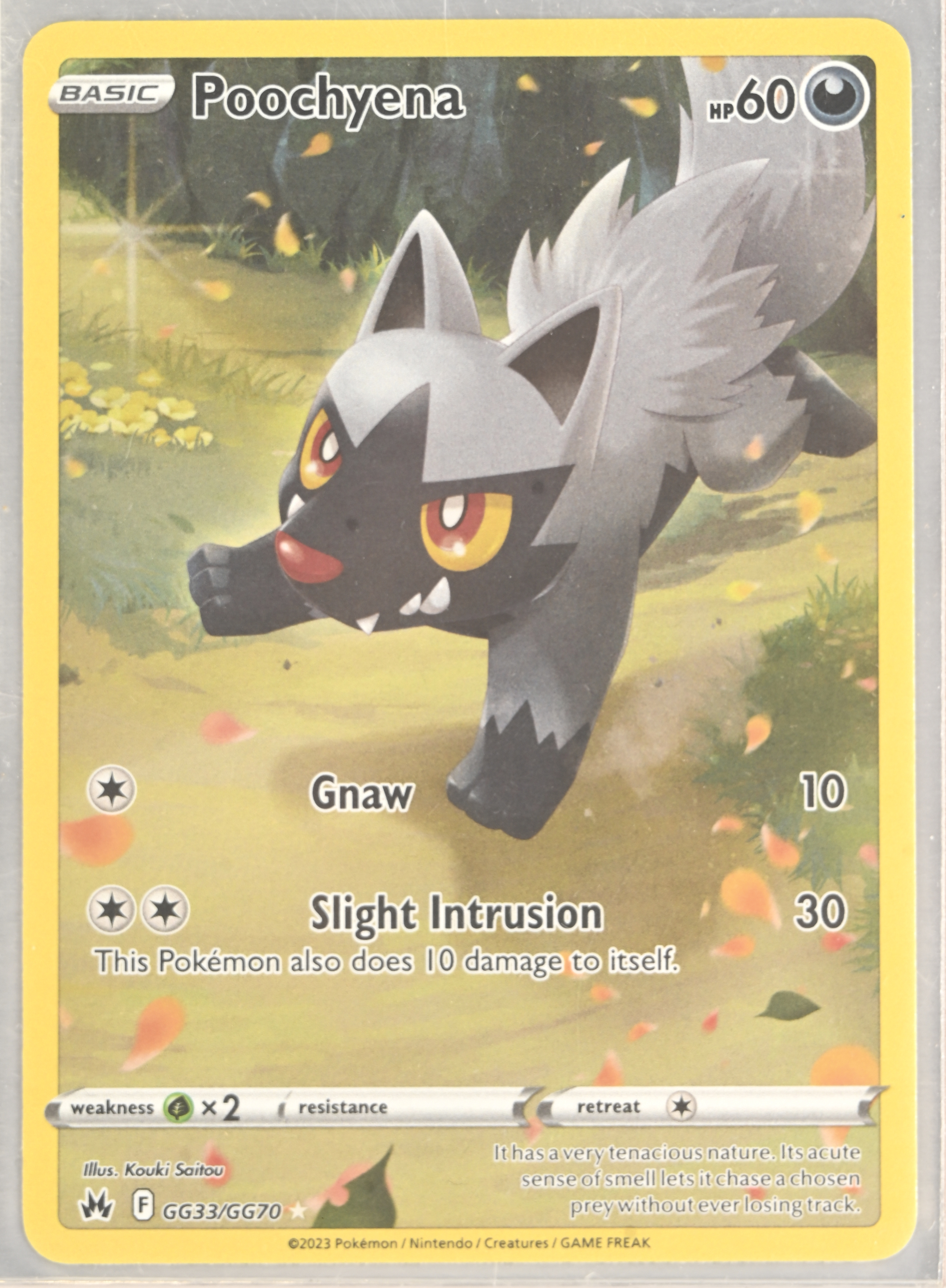 Poochyena - SWSH: Crown Zenith: Galarian Gallery (CRZ:GG) GG33/GG70 / Ultra Rare 1 Poochyena - SWSH: Crown Zenith: Galarian Gallery (CRZ:GG) GG33/GG70 / Ultra Rare