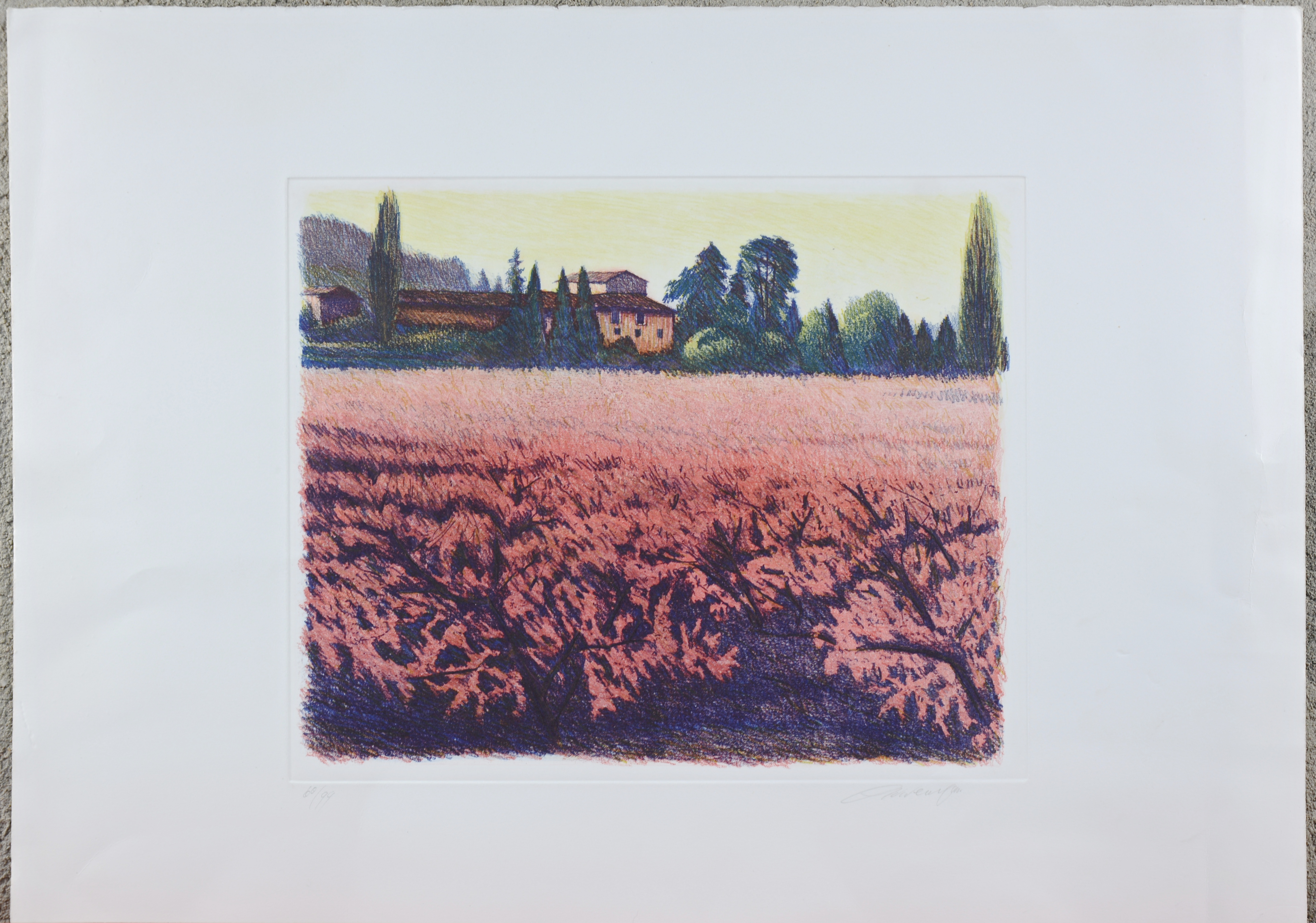 “Zuiders landschap”. Een lithografie. Gesigneerd en genummerd 60/99 buiten de plaat “Zuiders landschap”. Een lithografie. Gesigneerd en genummerd 60/99 buiten de plaat.